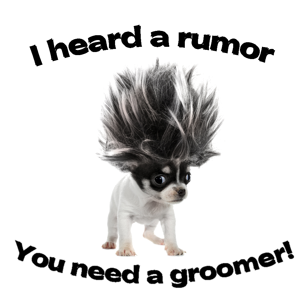 Uptown Pet Spa Scottsdale | Scottsdale Arizona Pet Spa